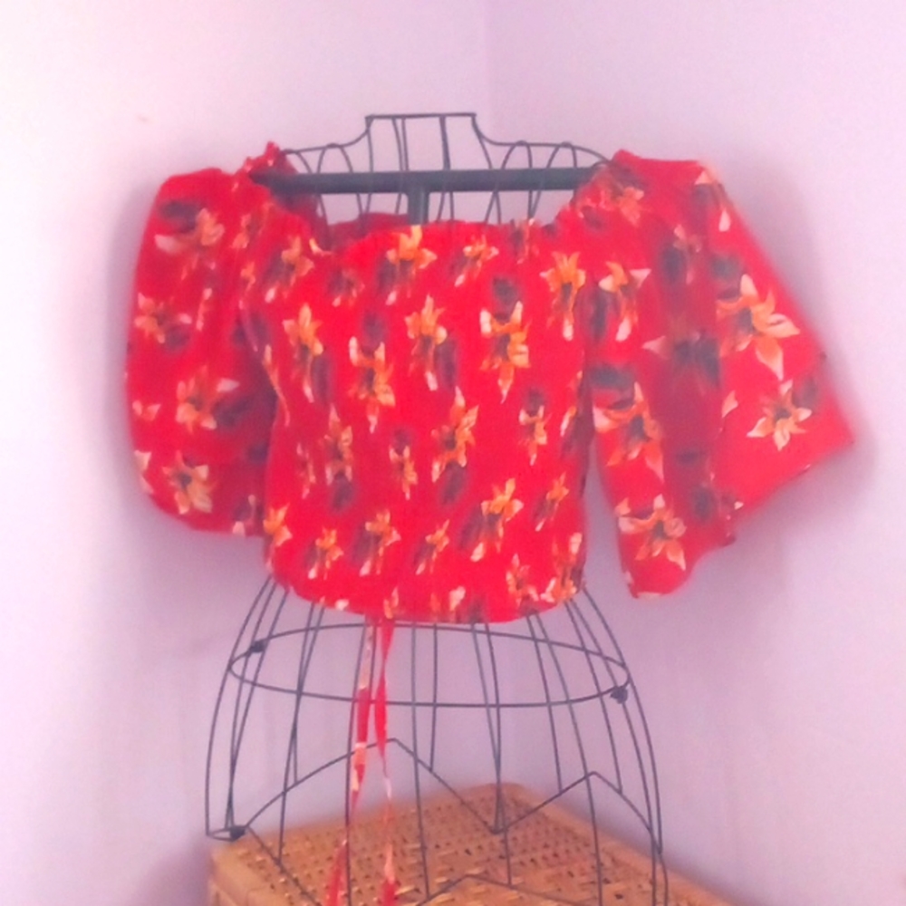 Love by chesley top